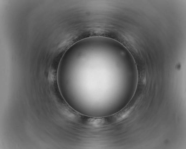 X0000090500135200707201555