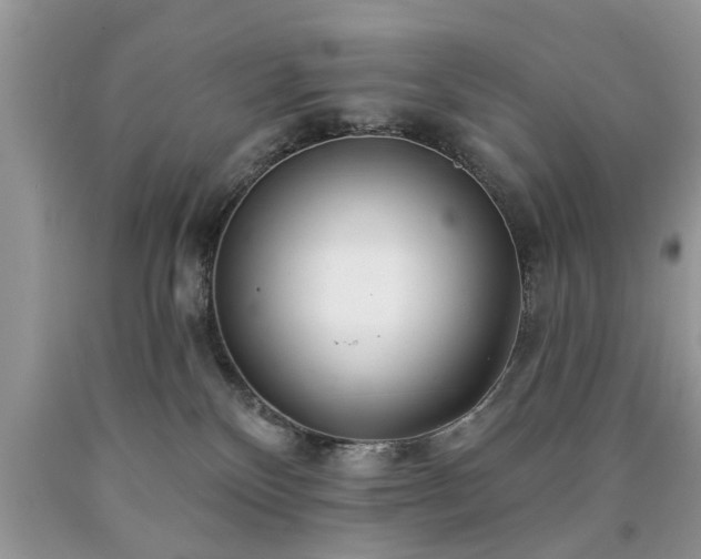 X0000090500136200707201555