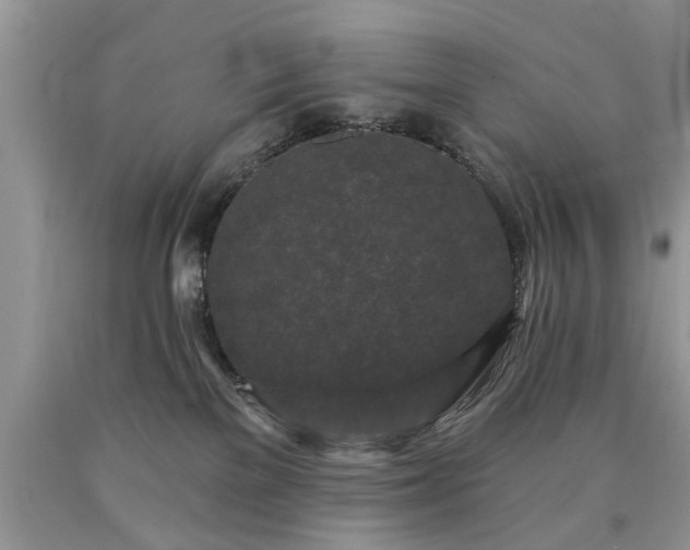 X0000090500137200707201555