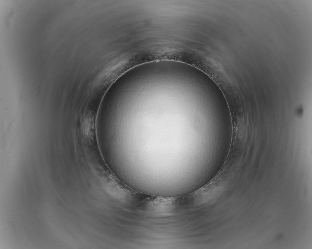 X0000090500138200707201555