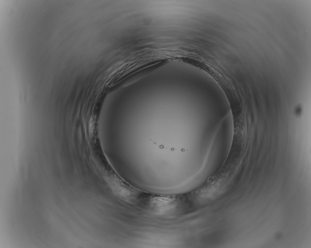 X0000090500139200707201555