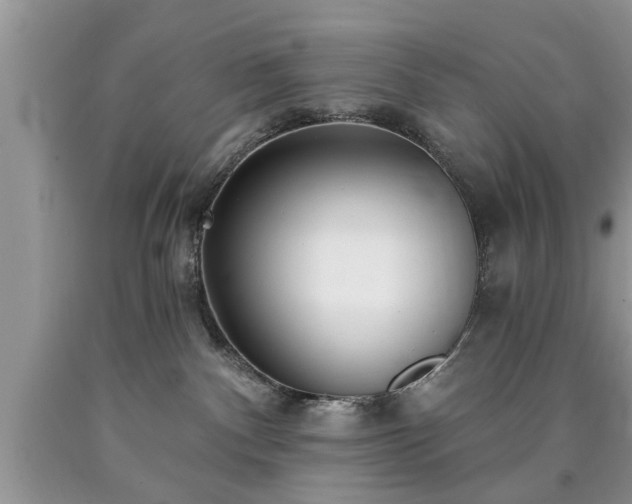 X0000090500140200707201555