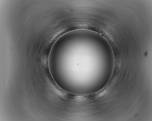 X0000090500141200707201555