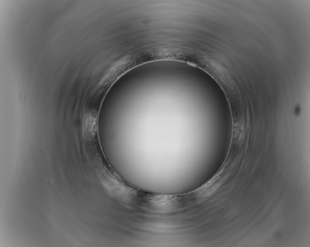 X0000090500142200707201555