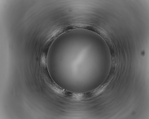 X0000090500143200707201555