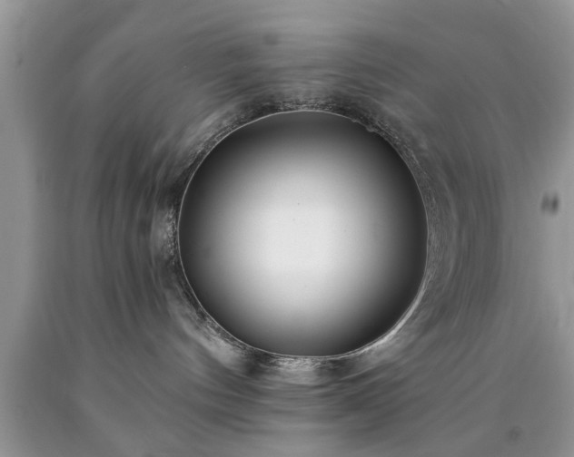 X0000090500144200707201555