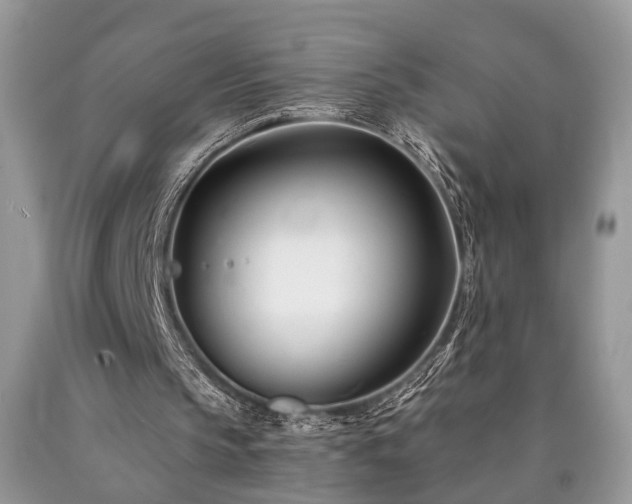 X0000090500145200707201554