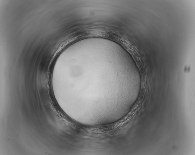 X0000090500146200707201554