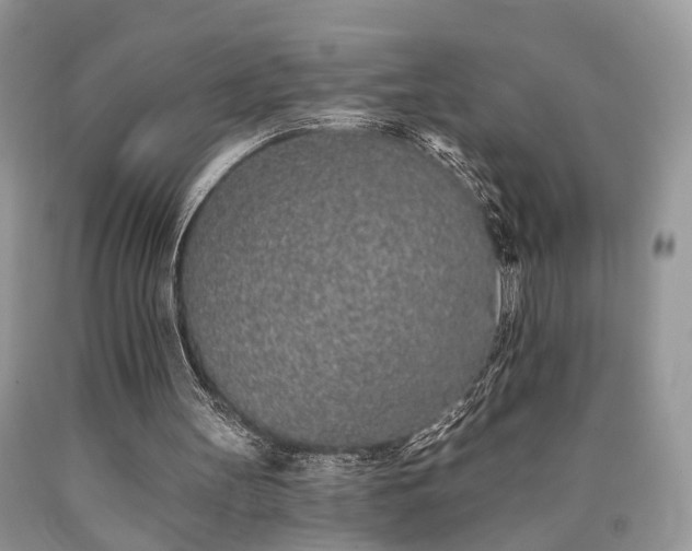 X0000090500147200707201554