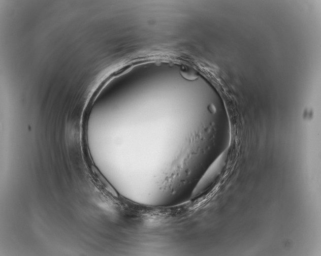 X0000090500148200707201554