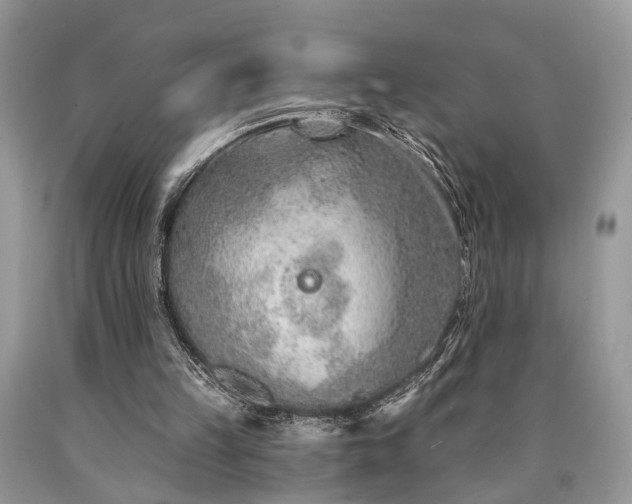 X0000090500149200707201554