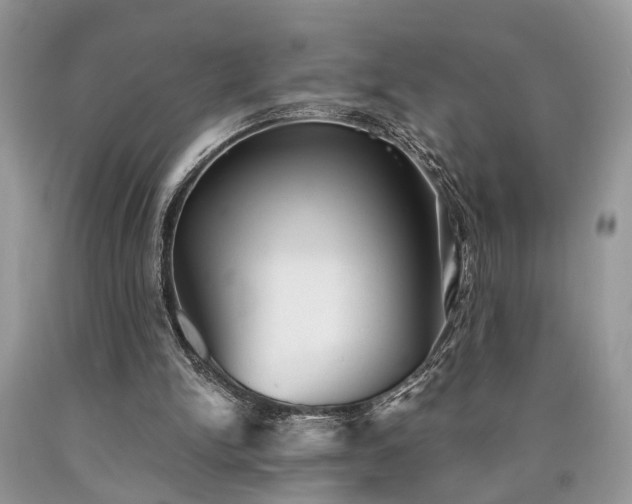 X0000090500150200707201554