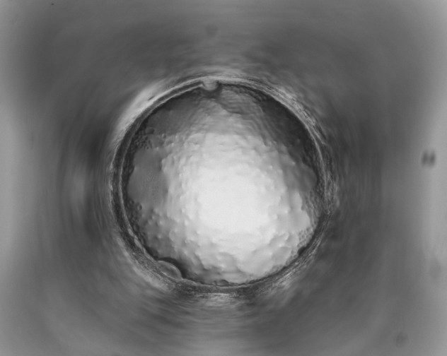 X0000090500151200707201554