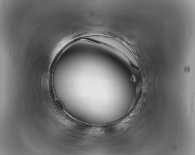 X0000090500152200707201554