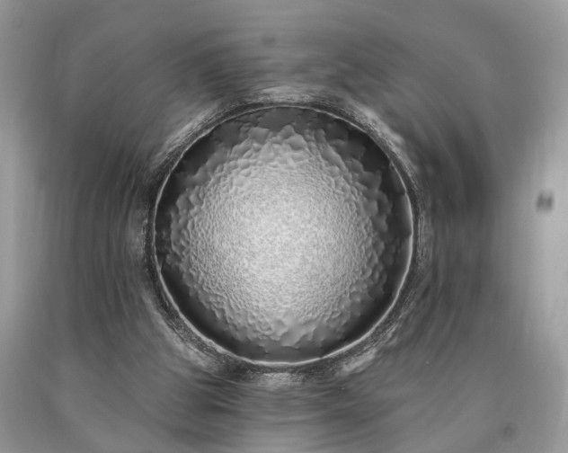 X0000090500153200707201554