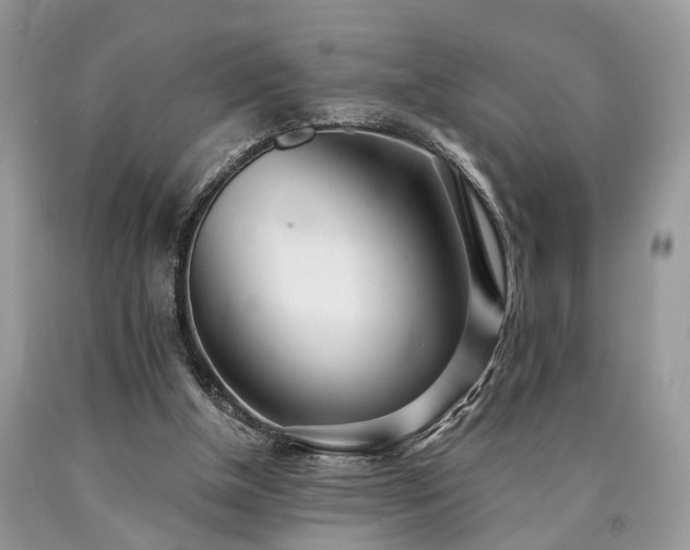 X0000090500154200707201554