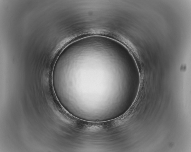 X0000090500155200707201554