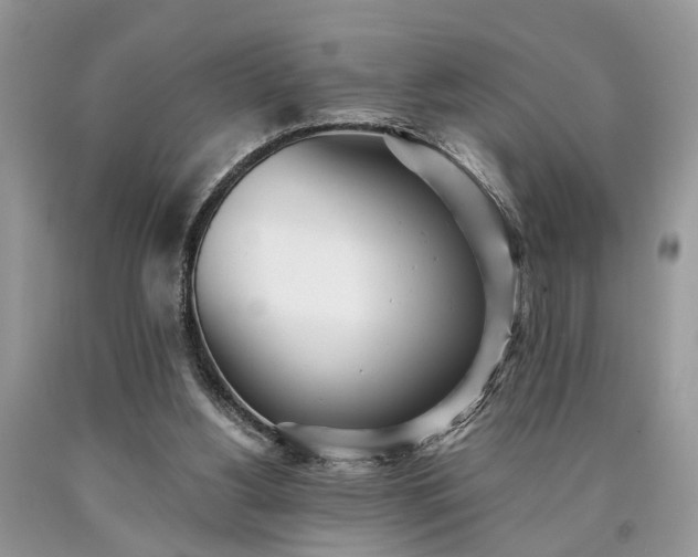 X0000090500156200707201554