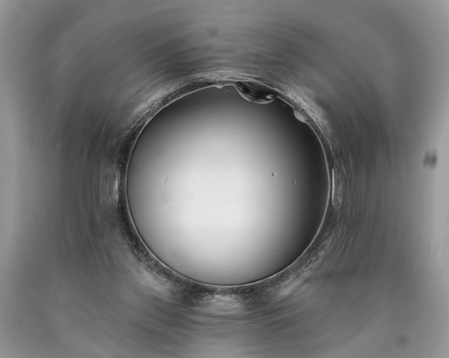 X0000090500157200707201554