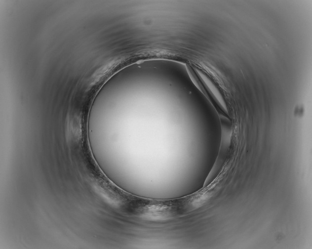 X0000090500158200707201554