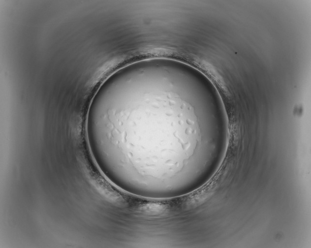 X0000090500159200707201554