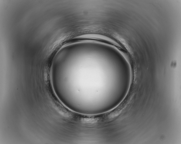 X0000090500161200707201554