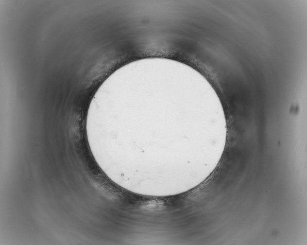 X0000090500162200707201554