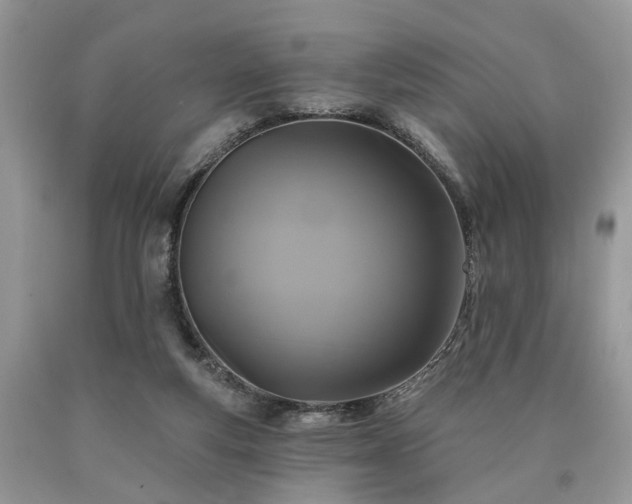 X0000090500163200707201554