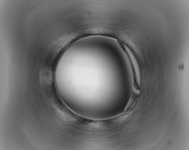 X0000090500164200707201554