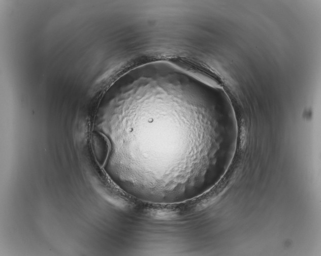 X0000090500165200707201554