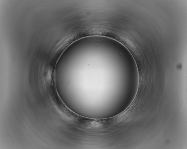 X0000090500166200707201554