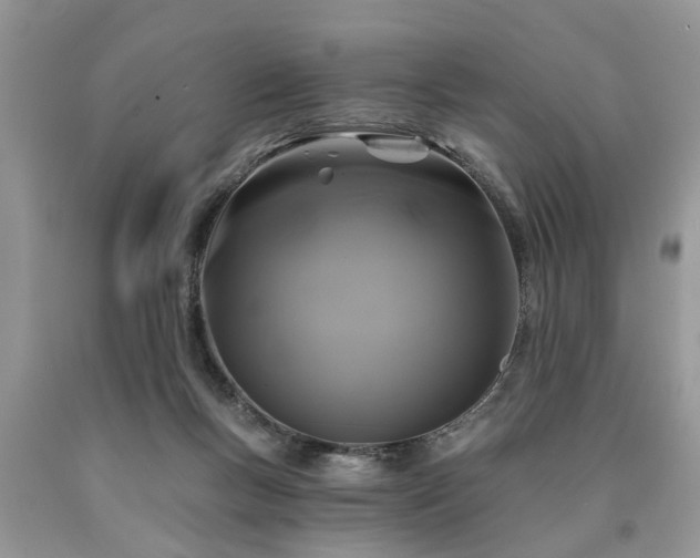 X0000090500167200707201554