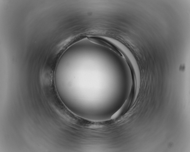 X0000090500168200707201554