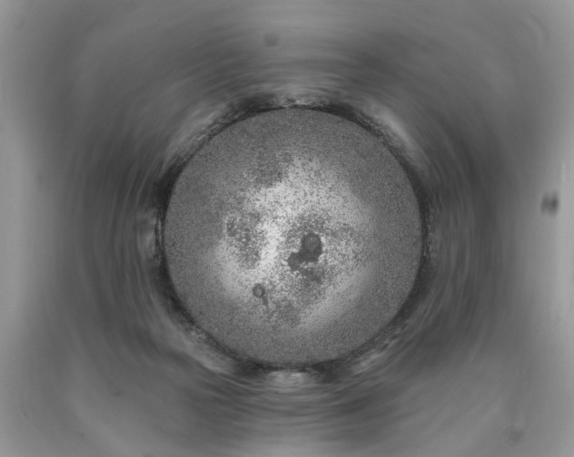 X0000090500169200707201554