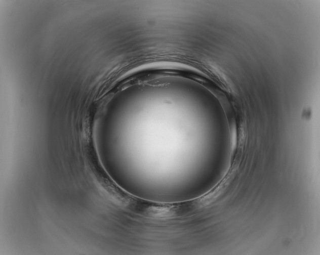 X0000090500170200707201554