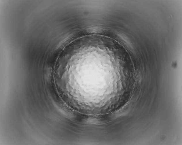 X0000090500171200707201554