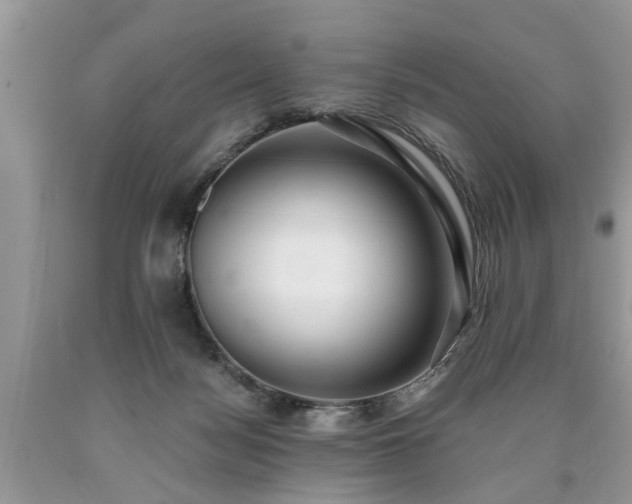 X0000090500172200707201554