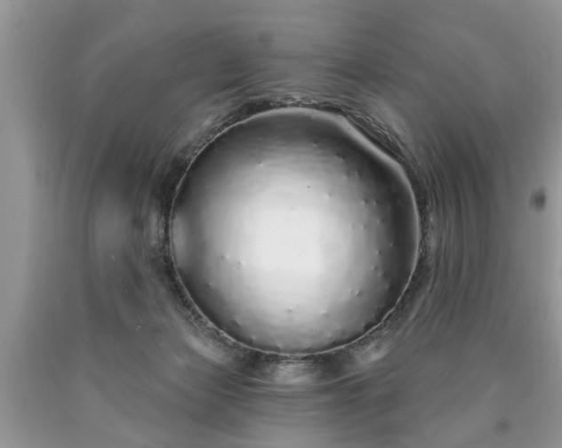 X0000090500173200707201554