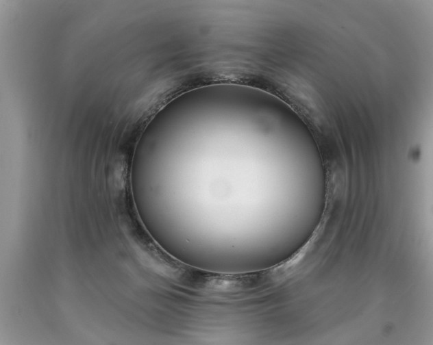 X0000090500174200707201554