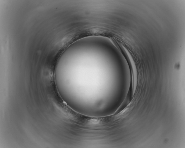 X0000090500176200707201554