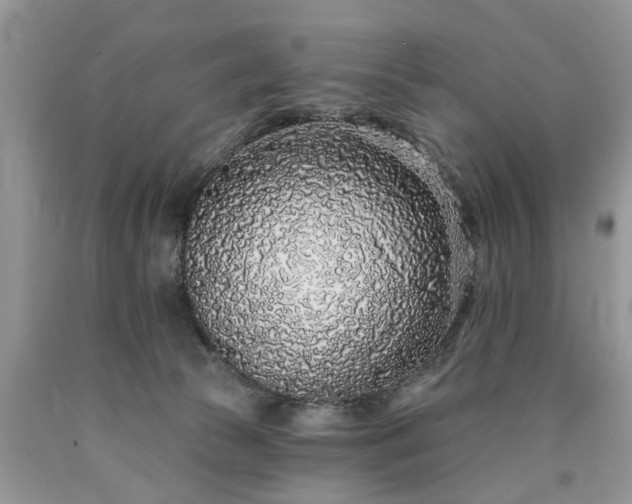 X0000090500177200707201554