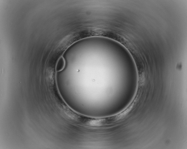 X0000090500178200707201554