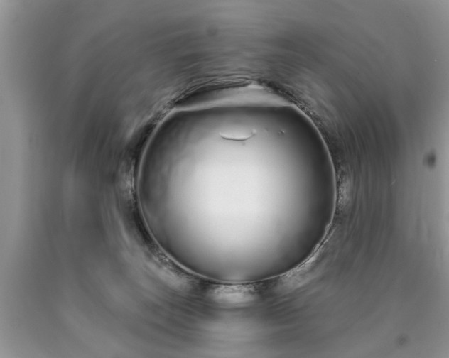 X0000090500179200707201554