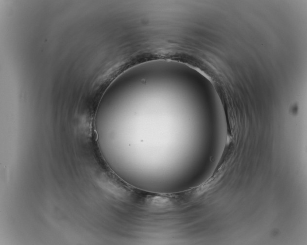 X0000090500180200707201554