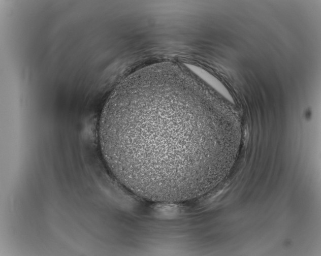 X0000090500181200707201554