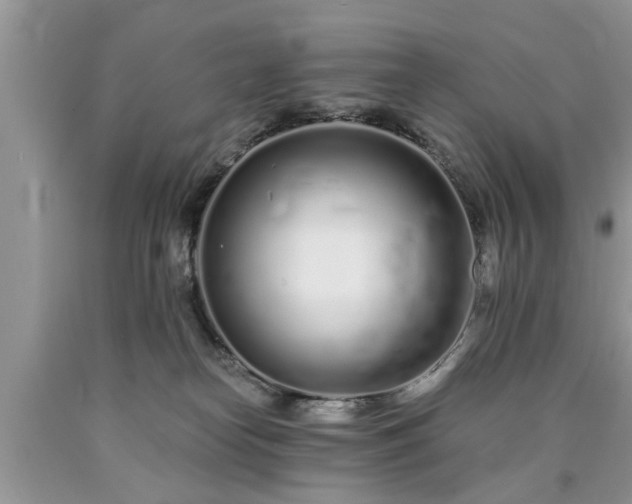 X0000090500182200707201554