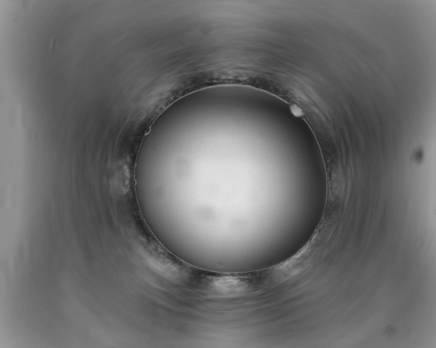 X0000090500183200707201554