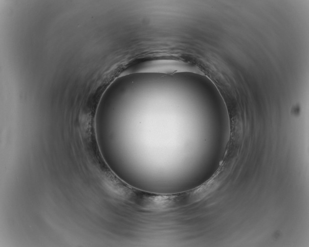 X0000090500184200707201555