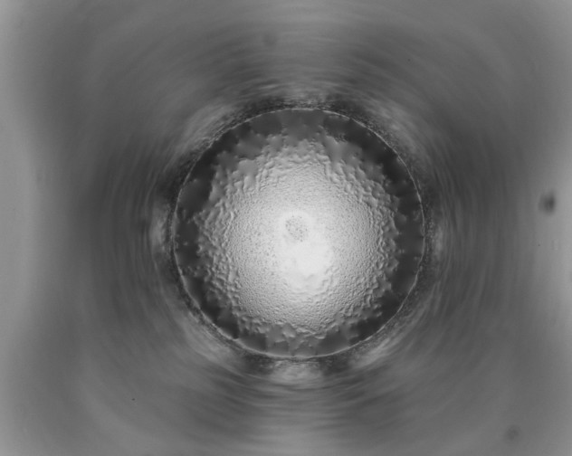 X0000090500185200707201555