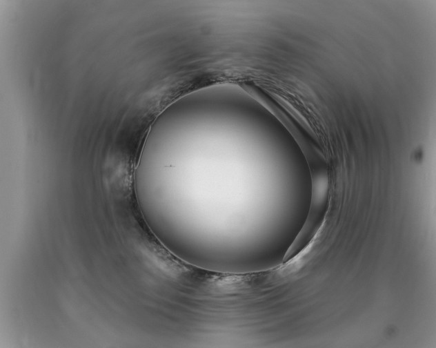 X0000090500186200707201555